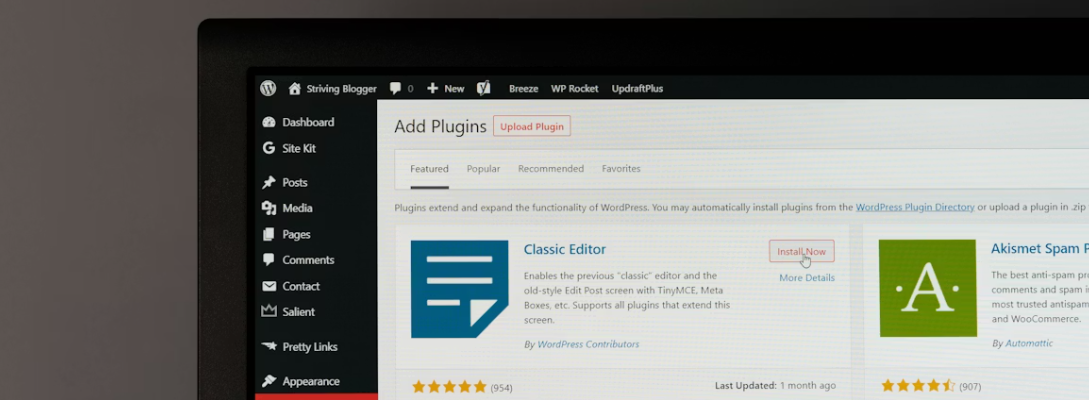 The Add Plugins screen of the WordPress dashboard