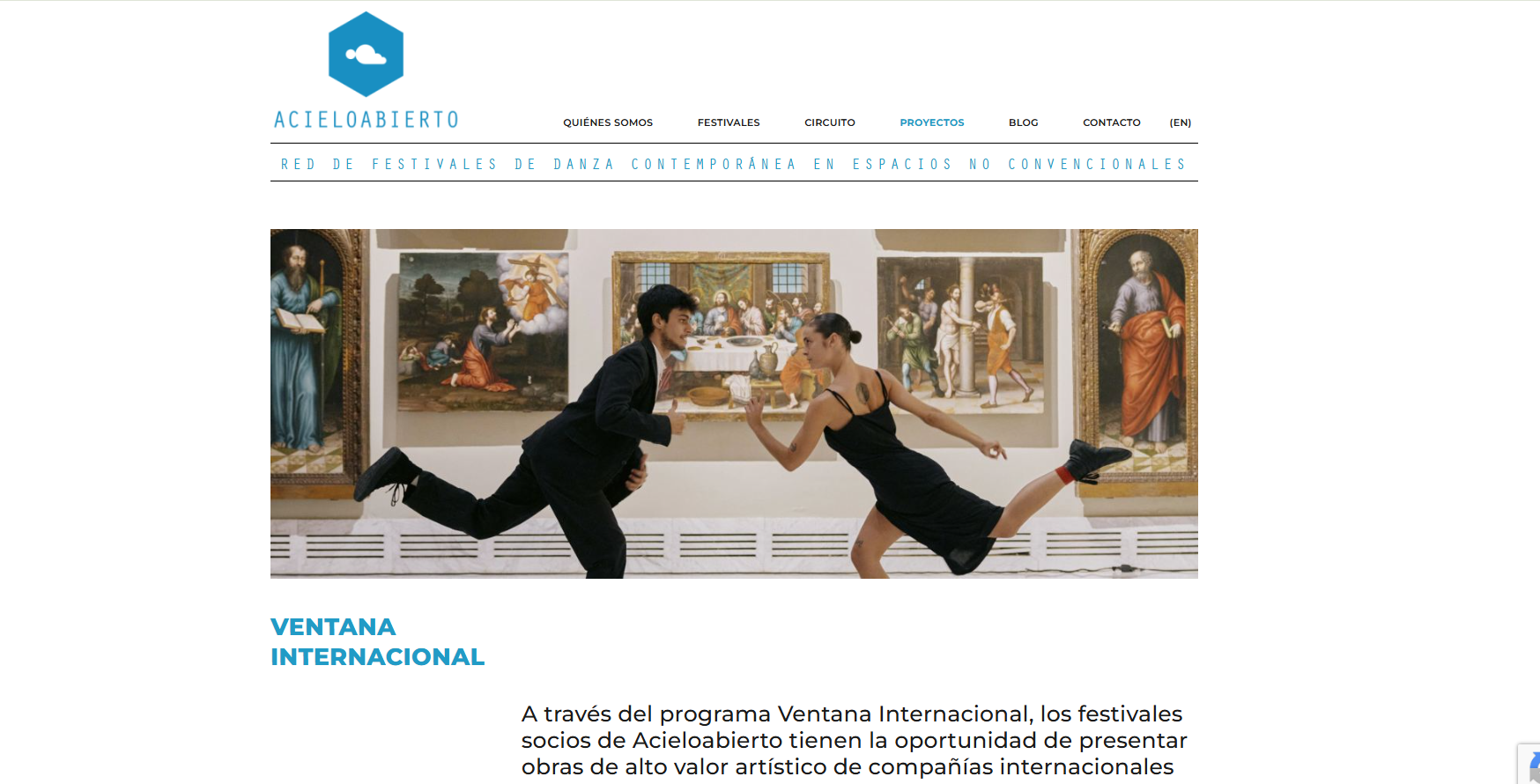 Red ACieloAbierto projects page: the Ventana Internacional programme