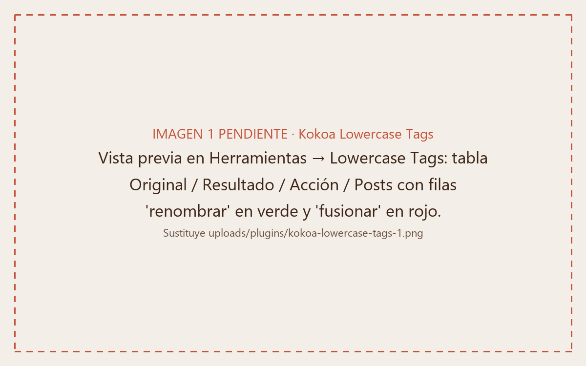 Kokoa Lowercase Tags preview showing which tags will be renamed and which will be merged