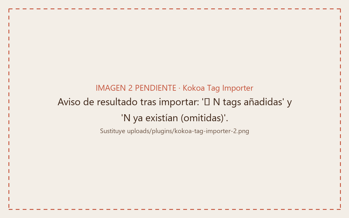 Kokoa Tag Importer summary showing the tags added and those skipped because they already existed